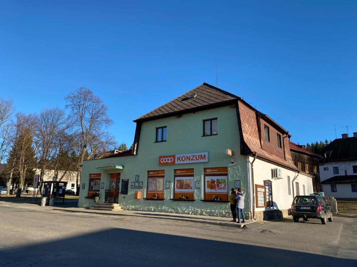 Apartman U Lesa, Srni 119 Bagian luar foto