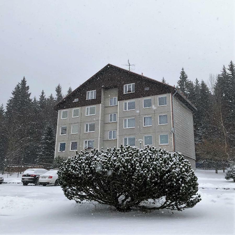 Apartman U Lesa, Srni 119 Bagian luar foto